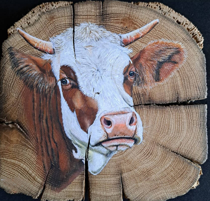 2026 Ausstellung Kuhvolution